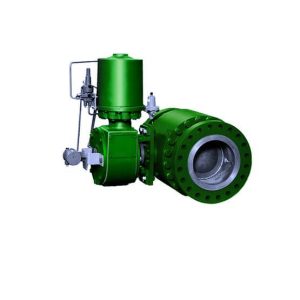 Fisher™ V260 Control Valve