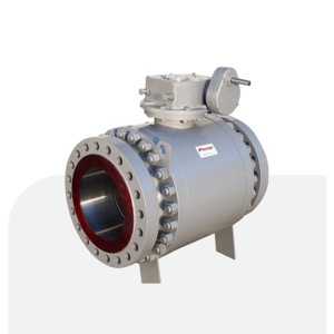 Split Body Trunnion Mounted Side Entry Ball Valves