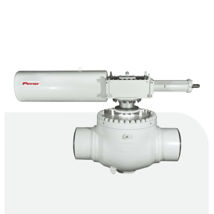Top Entry Body Trunnion Mounted Ball Valves